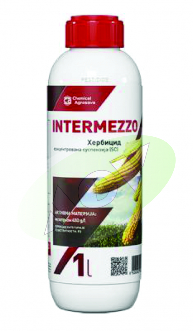 INTERMEZZO 1/1